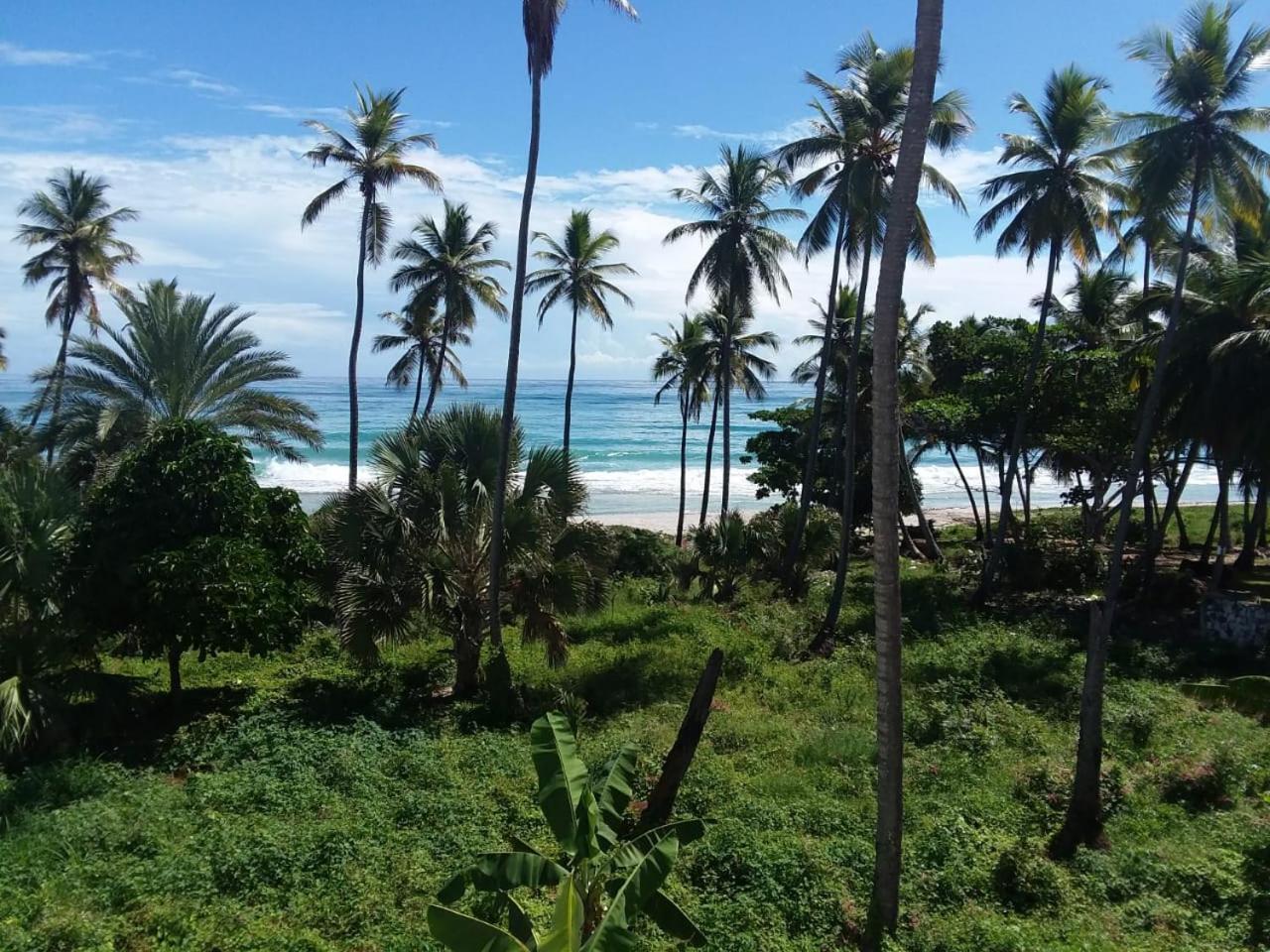 Oasi Encantada - Beach Resort Barahona Eksteriør billede