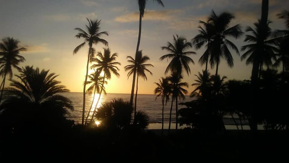 Oasi Encantada - Beach Resort Barahona Eksteriør billede